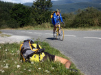 Position pour la meilleure photo