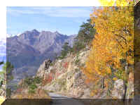 2_sur_la_route_des_Gondrans_sang_et_or.JPG (104497 octets)