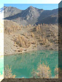 8_La-haut_meleze_s-endort.JPG (49382 octets)