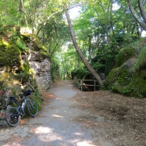 V7b Parc de Portofino, au milieu du parc (Ph T Labour)